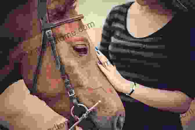 A Client Experiencing Joy And Connection While Interacting With A Horse In An Equine Assisted Counseling Session Harnessing The Power Of Equine Assisted Counseling: Adding Animal Assisted Therapy To Your Practice