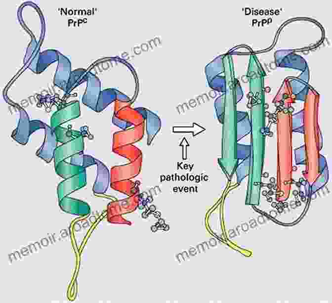 A Microscopic Image Of Prions, The Infectious Proteins That Cause Fatal Brain Diseases Prions In Humans And Animals