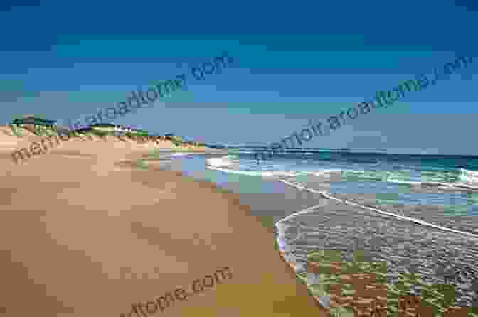 A Stunning Photograph Of The Outer Banks Shoreline, Capturing The Vast Expanse Of Sand, Rolling Waves, And Distant Lighthouses. A Walk Along The Shores Of The Outer Banks: A Senior Reader Picture / Travel Magazine For Memory Care / Dementia Care