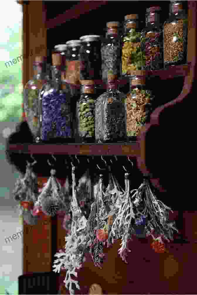 A Witch's Cupboard Filled With An Assortment Of Dried Herbs And Plants, Including Lavender, Rosemary, And Sage. Green Witch Magick: Essential Plants And Crafty Spellwork For A Witch S Cupboard