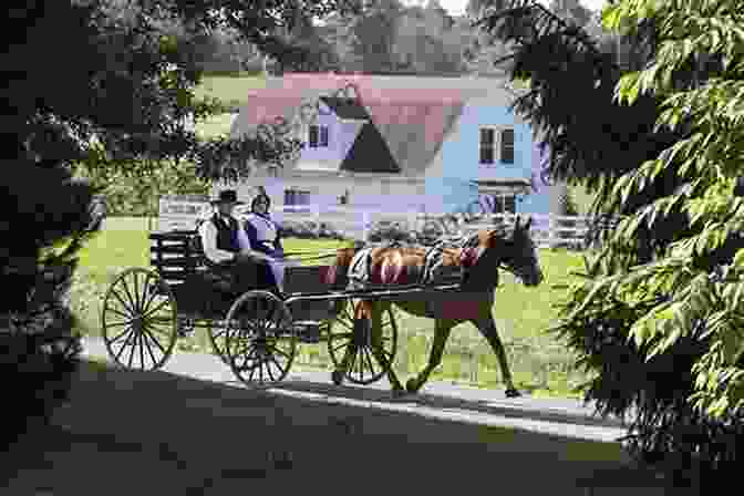 Amish Family Enjoying A Snowy Christmas Day. Amish Scrapbook: An Amish Christmas Boxed Set ( 3 Books)