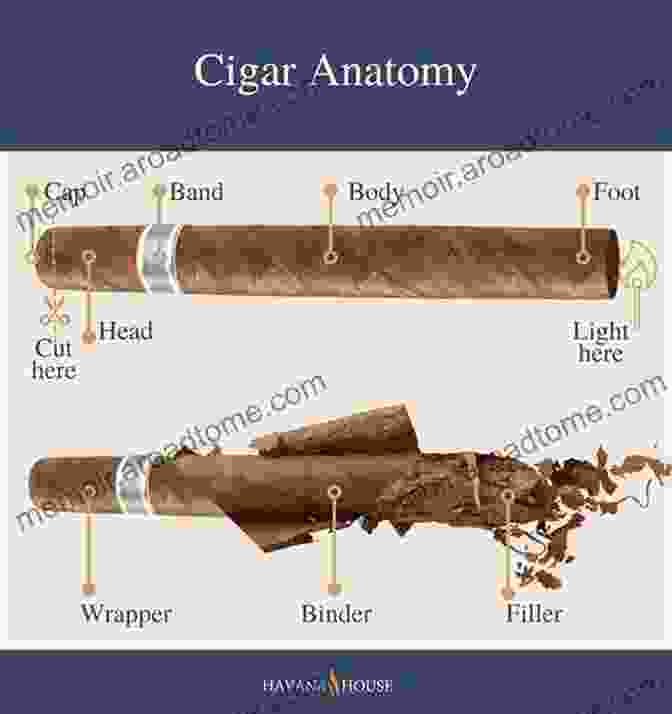 Anatomy Of A Cigar: Unraveling The Secrets Of Flavor Cigar Bliss: Demystifying The Art Of Taste