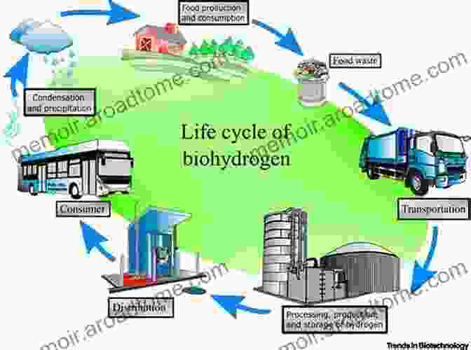 Applications Of Biohydrogen In Various Industries Biohydrogen Production And Hybrid Process Development: Energy And Resource Recovery From Food Waste