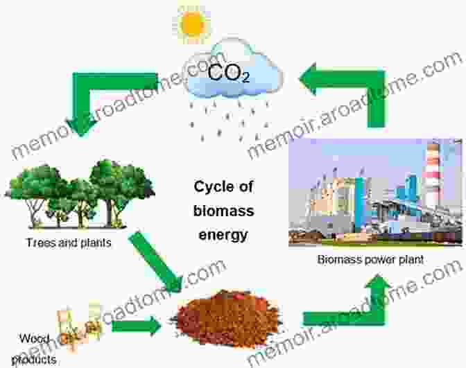 Biomass Plant Processing Organic Materials Into Renewable Energy Carbonaceous Materials And Future Energy: Clean And Renewable Energy Sources