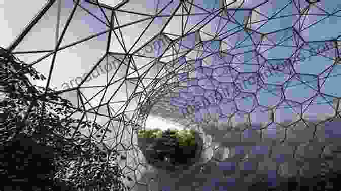 Cover Image Of The Book 'Performalism: Form And Performance In Digital Architecture' Featuring A Parametrically Designed Architectural Structure. Performalism: Form And Performance In Digital Architecture