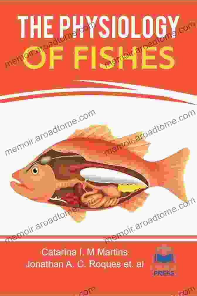 Cover Of Fish Physiology By Matthew Grow Fish Physiology (ISSN 8) Matthew J Grow