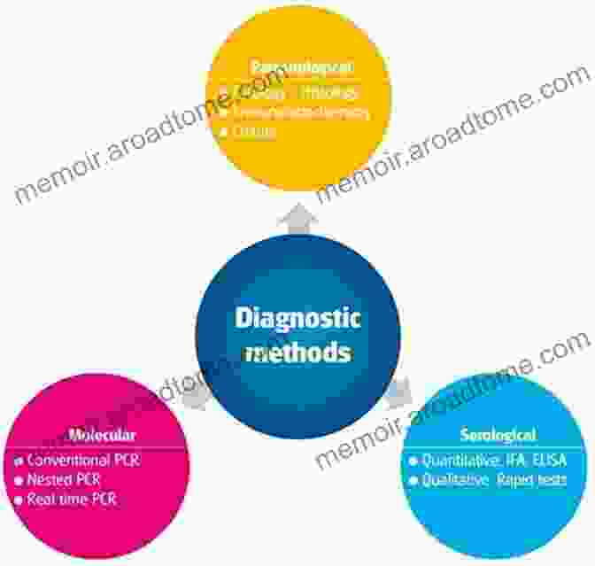 Diagnostic Techniques Understanding Disease: A Health Practitioner S Handbook