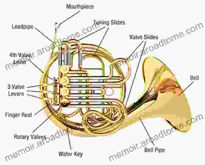 Diagram Of A French Horn With Labeled Parts This Is Music: Horns Lingo Mastery