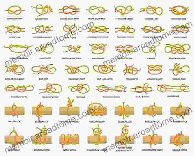 Discover The Diverse Applications Of Knots In Various Fields Encyclopedia Of Knot Theory