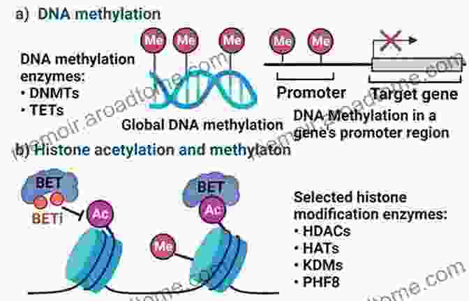 Epigenetic Marks, Such As DNA Methylation (blue) And Histone Modification (green),Alter Gene Expression Without Changing The DNA Sequence. Specific Gene Expression And Epigenetics: The Interplay Between The Genome And Its Environment