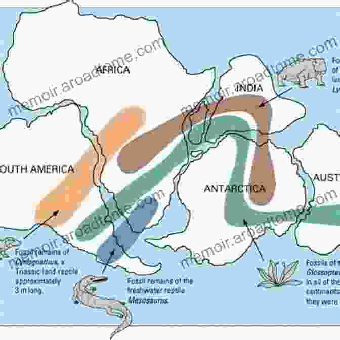 Illustration Depicting Fossilized Plants And Animals Amidst Varying Climatic Conditions, Demonstrating The Profound Impact Of Climate Change Throughout History. Palaeontology And Historical Geology: Proceedings Of The 30th International Geological Congress Volume 12