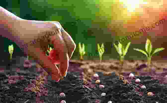 Image Of A Person Carefully Nurturing A Seedling In A Potting Mix The Bonsai Beginners Guide: A Step By Step Manual On Cultivating Growing Caring For And Displaying Your Bonsai Tree With Illustrations