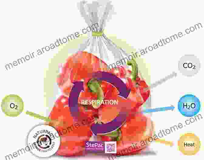 Modified Atmosphere Packaging Diagram Modified Atmosphere And Active Packaging Technologies (Contemporary Food Engineering)