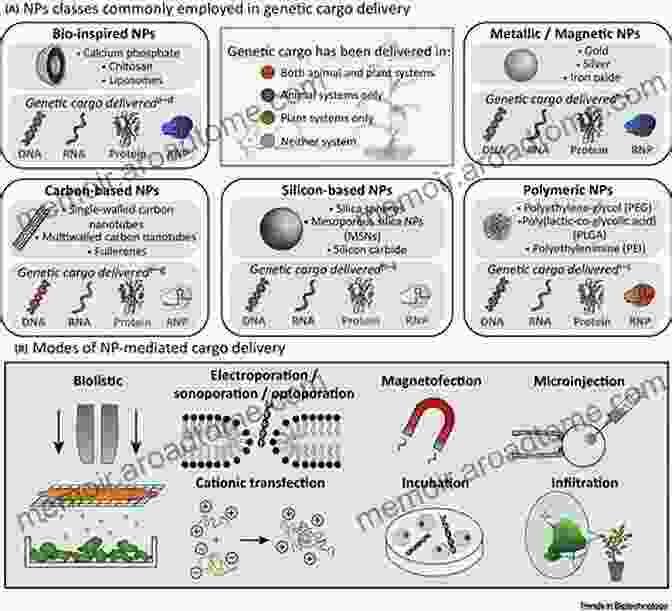 Nanotechnology Based Gene Delivery Nanotechnology Based Approaches For Targeting And Delivery Of Drugs And Genes