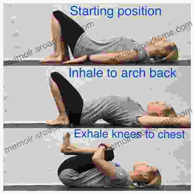 Pelvic Tilts Exercise For Sciatica Sciatica Nerve Pain: How To Treat Sciatica Effective Home Exercise Progression: Sciatica Pain In Hip