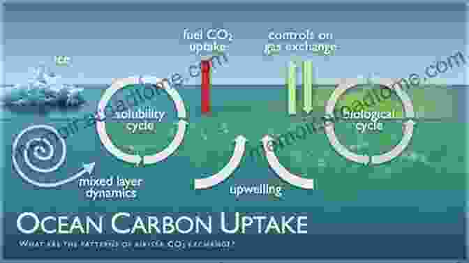 Phytoplankton Absorbing Carbon Dioxide From The Atmosphere Advances In Phytoplankton Ecology: Applications Of Emerging Technologies