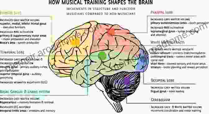 The Brain Regions Activated By Musical Emotion Musical Creativity: Multidisciplinary Research In Theory And Practice