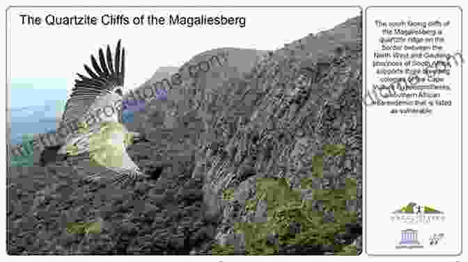 The Magaliesberg Is A Haven For Biodiversity, Supporting A Rich Tapestry Of Plant And Animal Life. Cradle Of Life: The Story Of The Magaliesberg And The Cradle Of Humankind