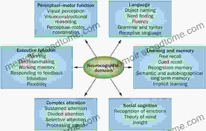 WAIS IV, WMS IV, And ACS: Assessing Cognitive Function Across The Lifespan WAIS IV WMS IV And ACS: Advanced Clinical Interpretation (ISSN)