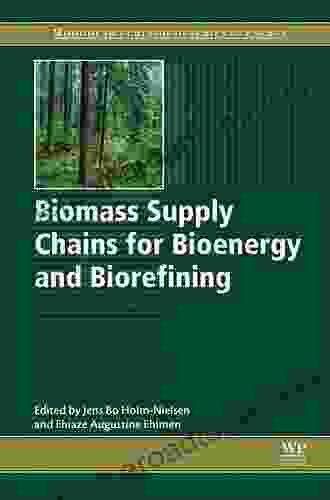 Advances In Biodiesel Production: Processes And Technologies (Woodhead Publishing In Energy 39)