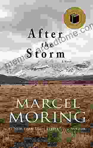 After The Storm: A Novel