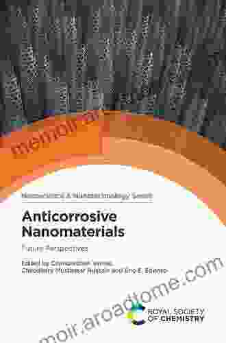 Anticorrosive Nanomaterials: Future Perspectives (ISSN)