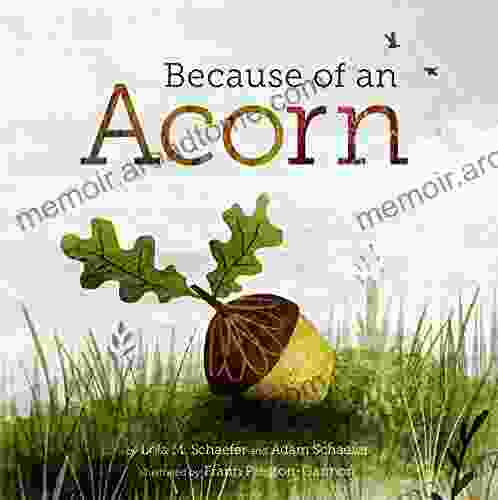 Because of an Acorn: (Nature Autumn for Children Picture about Acorn Trees)