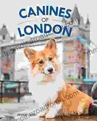 Canines Of London Bridget Davey