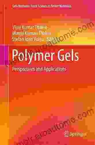 Polymer Gels: Perspectives And Applications (Gels Horizons: From Science To Smart Materials)