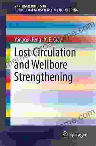 Lost Circulation and Wellbore Strengthening (SpringerBriefs in Petroleum Geoscience Engineering)