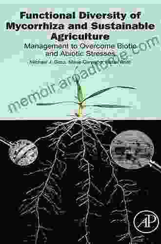 Functional Diversity of Mycorrhiza and Sustainable Agriculture: Management to Overcome Biotic and Abiotic Stresses