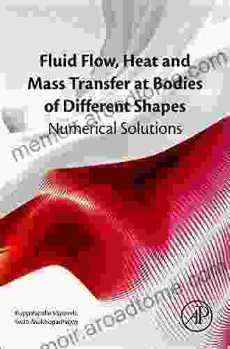 Fluid Flow Heat and Mass Transfer at Bodies of Different Shapes: Numerical Solutions