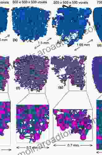 Modelling Of Flow And Transport In Fractal Porous Media