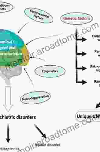 Neuropsychiatric Disorders Meir Schneider