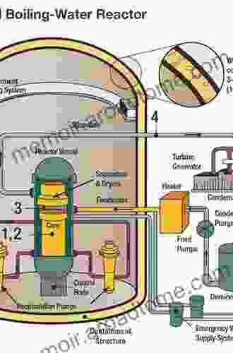 Nuclear Safety in Light Water Reactors: Severe Accident Phenomenology