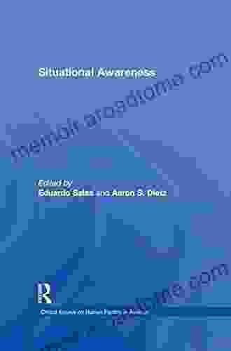 Situational Awareness (Critical Essays on Human Factors in Aviation)