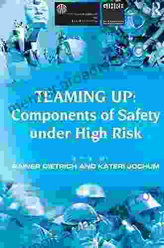 Teaming Up: Components Of Safety Under High Risk