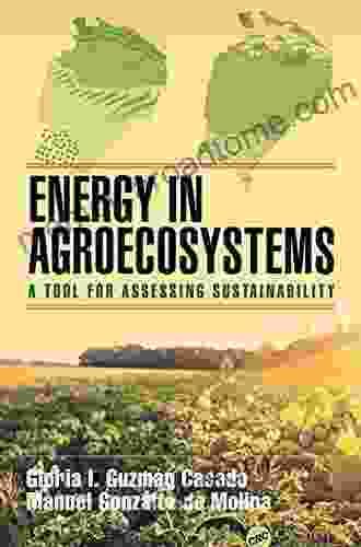 Energy In Agroecosystems: A Tool For Assessing Sustainability (Advances In Agroecology)