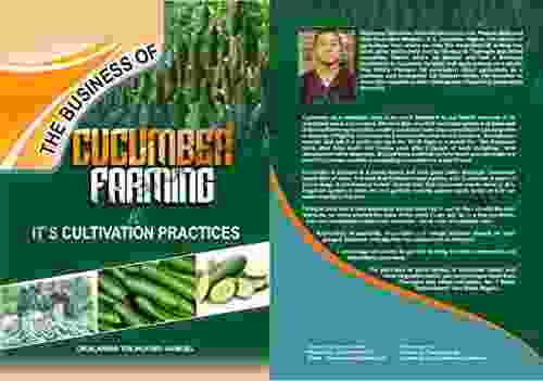 THE BUSINESS OF CUCUMBER FARMING AND ITS CULTIVATION PRACTICES