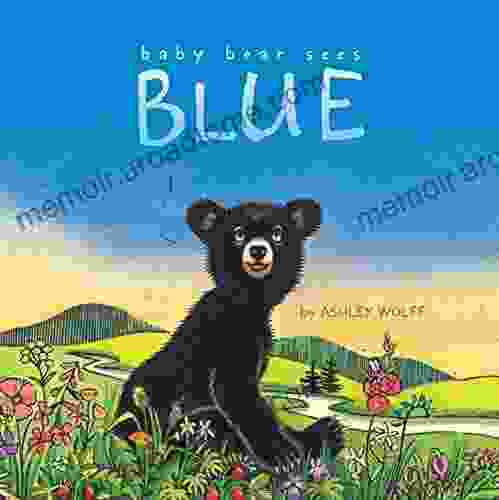 Baby Bear Sees Blue Ashley Wolff