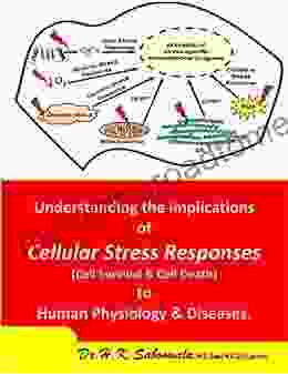 Understanding The Implications Of Cellular Stress Responses (Cell Survival Cell Death) To Human Physiology Diseases