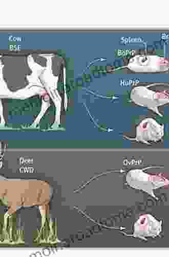 Prions In Humans And Animals