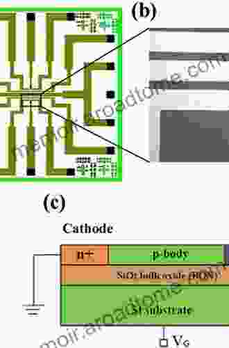 SOI Lubistors: Lateral Unidirectional Bipolar type Insulated gate Transistors (IEEE Press)