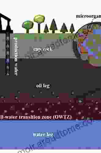 Shale Gas And Tight Oil Reservoir Simulation